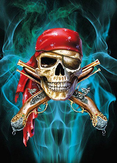 50 Pieces 3d Picture 9730--Pirate Skull - Wall Decor