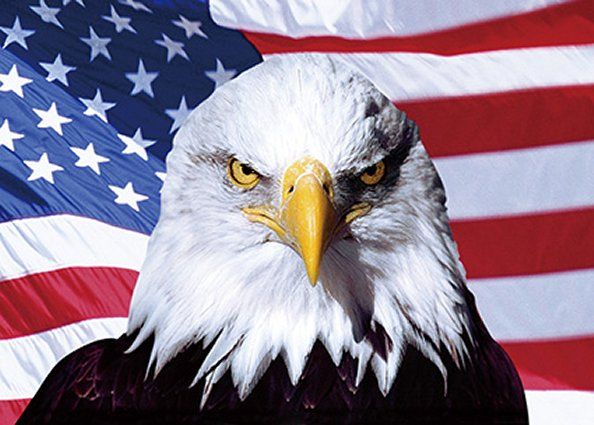 50 Pieces 3d Picture 9734--Eagle With Flag - Wall Decor
