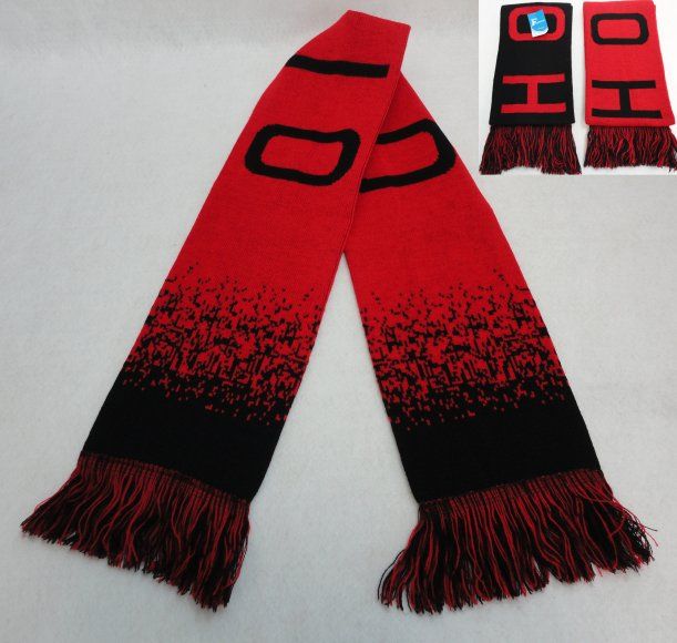 24 Pieces of Ohio Knitted Scarf With Fringe