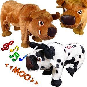 12 Pieces Dancing Cows W/ Sound - Animals & Reptiles