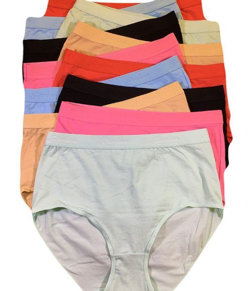 180 Pieces Femina Ladys Cotton Brief Assorted Color Size Medium - Womens  Panties & Underwear - at 