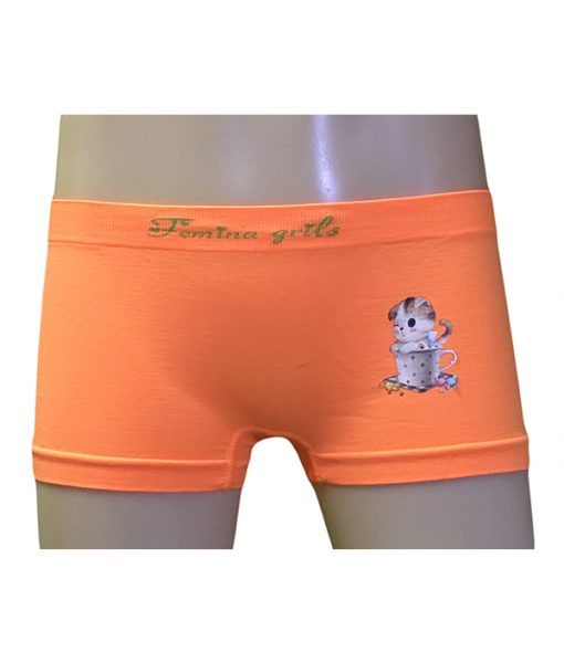 Girls Fruit Of The Loom Hipster Underwear Briefs And Panty