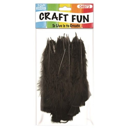 96 Pieces of Feather Black