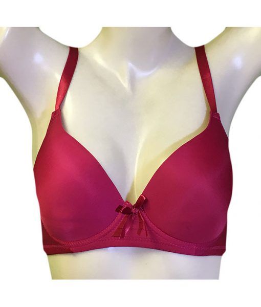 24 Pieces of Rose Lady's Wireless Padded Bra