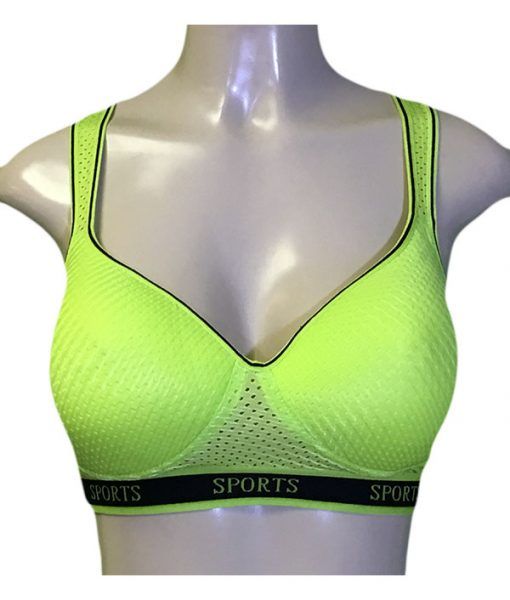36 Pieces Viola Lady's D-Cup Sports Bra, 38d - Womens Bras And Bra Sets -  at 