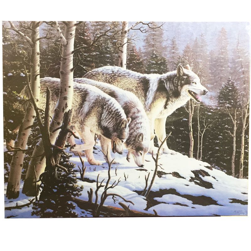 12 Wholesale Wolves In Woods Canvas Picture