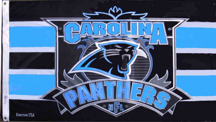 Carolina Panthers NFL Heritage Banner - Dynasty Sports & Framing