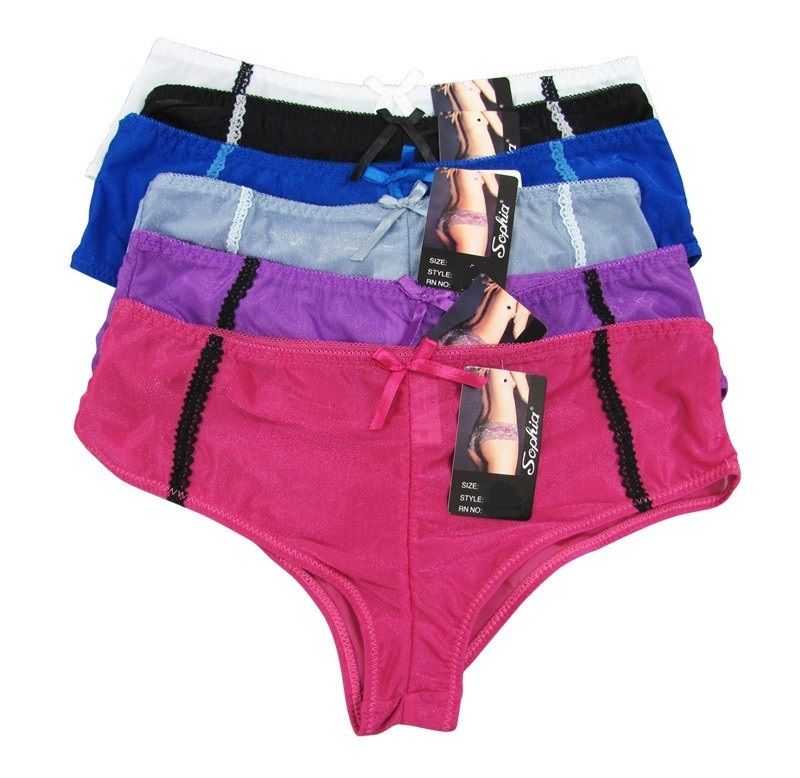 216 Wholesale Ladies Nylon Panty - at 
