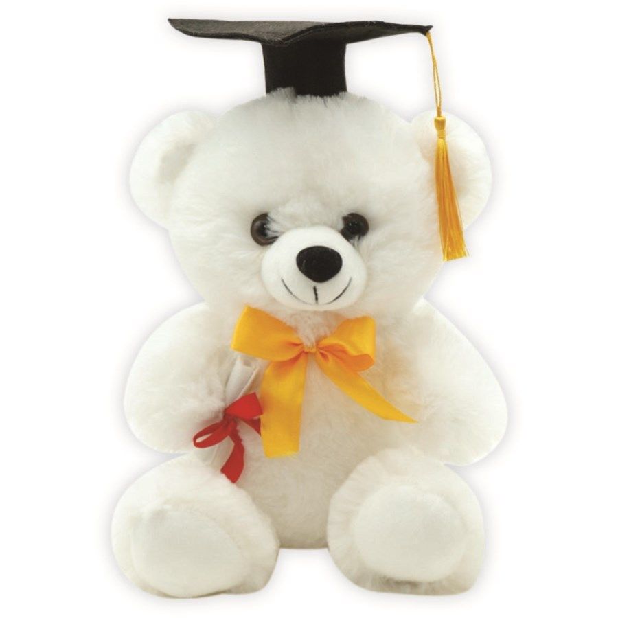 24 Pieces of Twelve Inch Graduation Bear