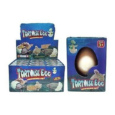 48 Pieces of Turtle Grow Hatching Egg