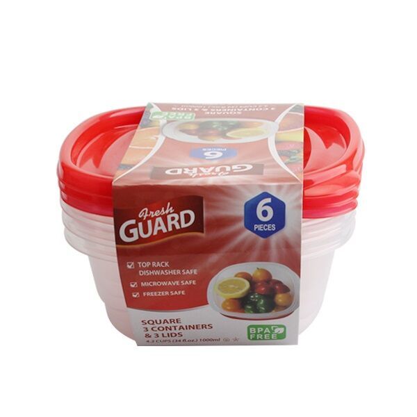 24 Wholesale 6 Pack Rectangle Food Container