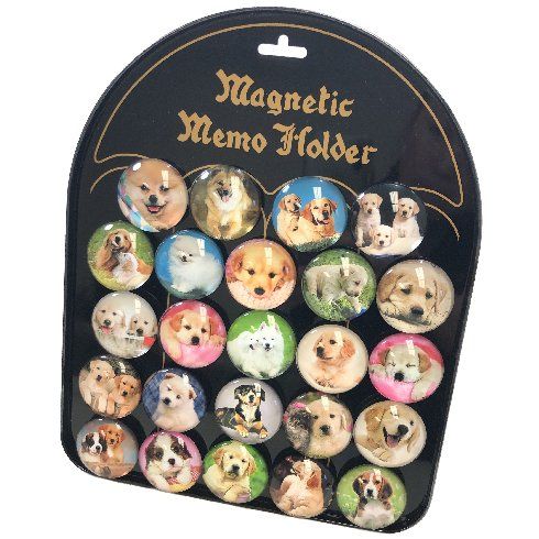 24 Pieces of Round Dome Magnets Dogs With Display Board