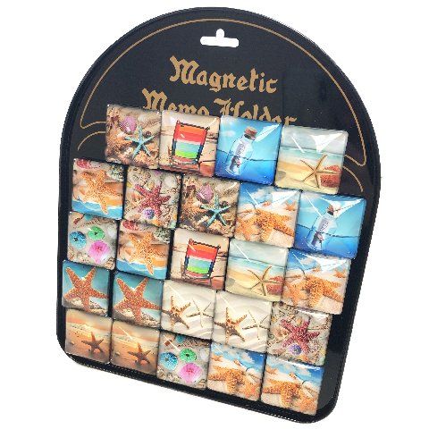 24 Pieces of Square Glass Magnet Seashells With Display Board