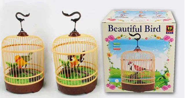 24 Wholesale Assorted B/o Singing Bird Novelty