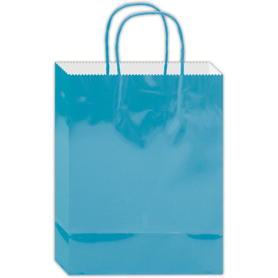 180 Pieces of Everyday Gift Bag Aqua Size Medium