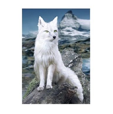 40 Pieces 3d Picture White Fox - Wall Decor