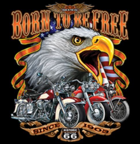 24 Pieces Heat Shirt Transfer Born To Be Free Route 66 Biker hd - Mens T-Shirts