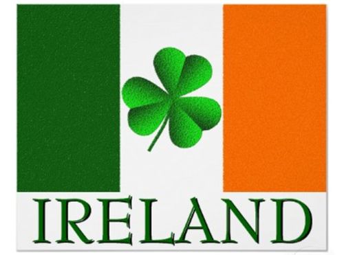 24 Pieces Ireland Irish Flag - Signs & Flags - at