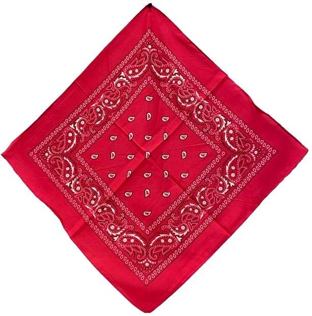 96 Pieces Bandana Hot Pink Paisley Fabric - Bandanas - at ...