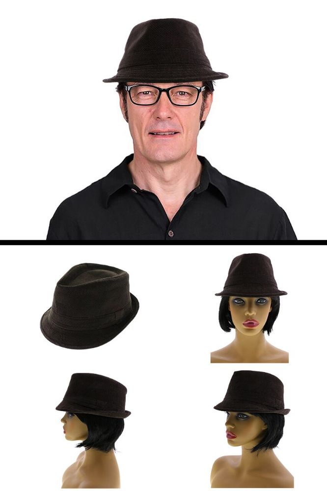 A collection of eleven mostly trilby type hats, many by CA4LA