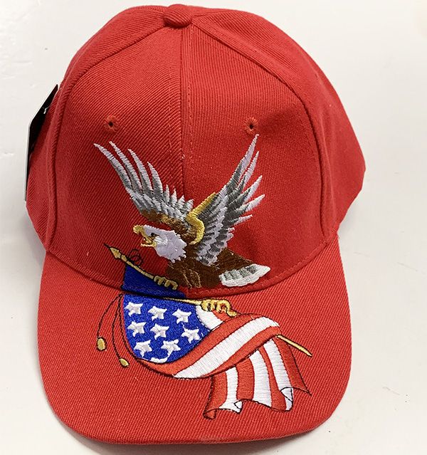 12 Pieces of Eagle With American Flag Assorted Color Baseball Cap