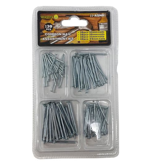 72 Pieces of Common Nail Assorted Kit