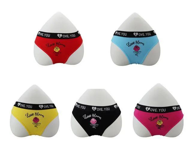 144 Wholesale Womens Love Printed Panties WSD