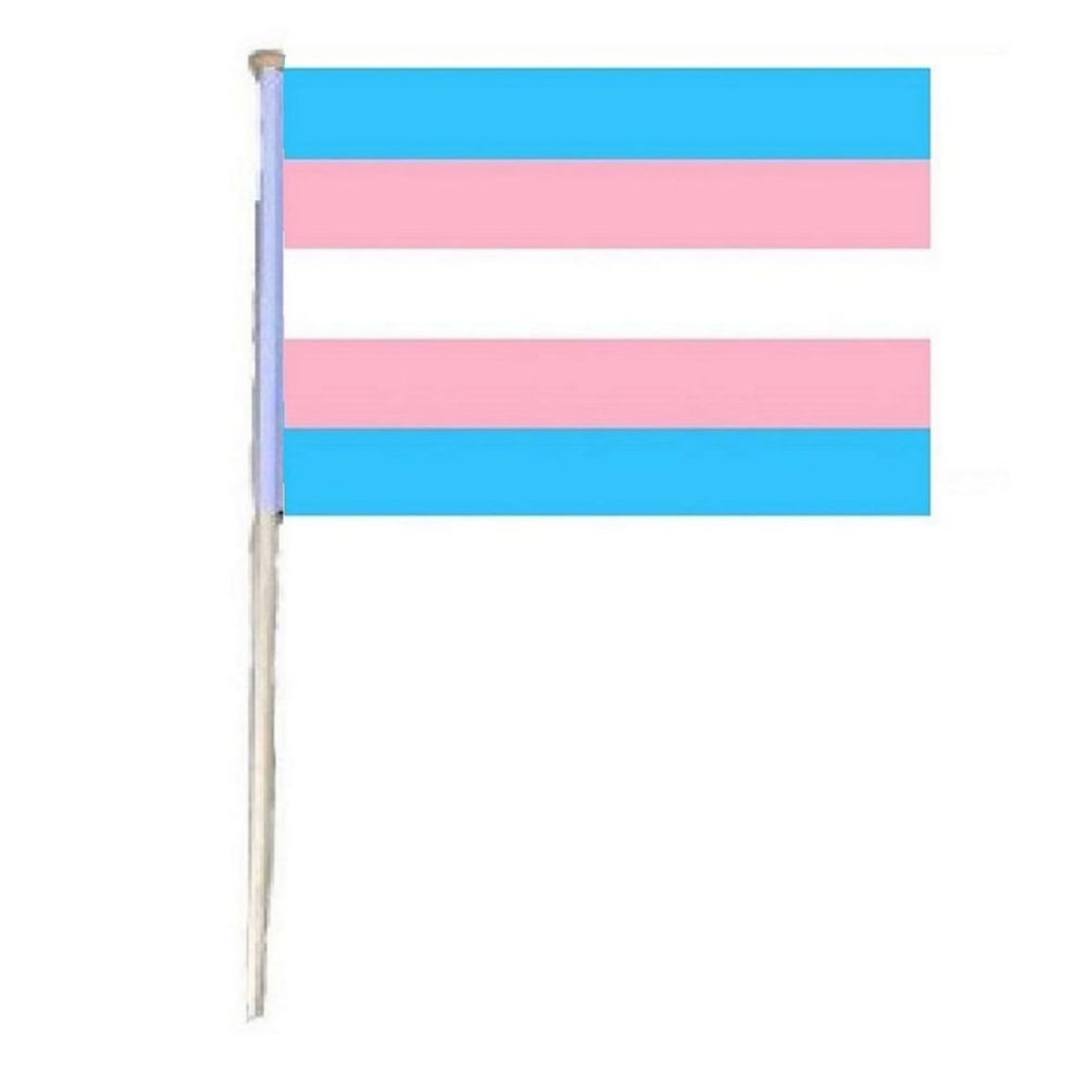24 Pieces of Trans Pride Flag