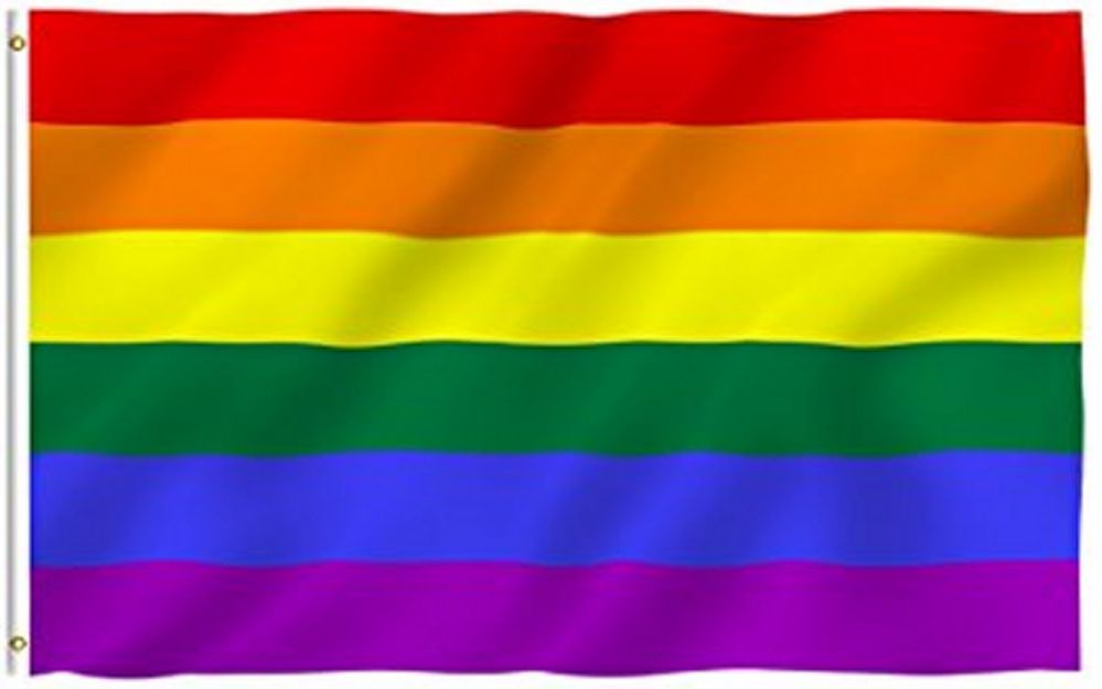 24 Pieces of Rainbow Flag