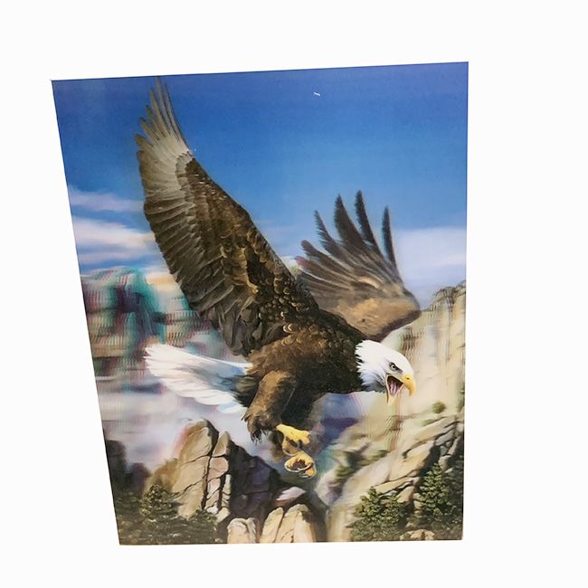 48 Wholesale Bald Eagle Canvas Picture