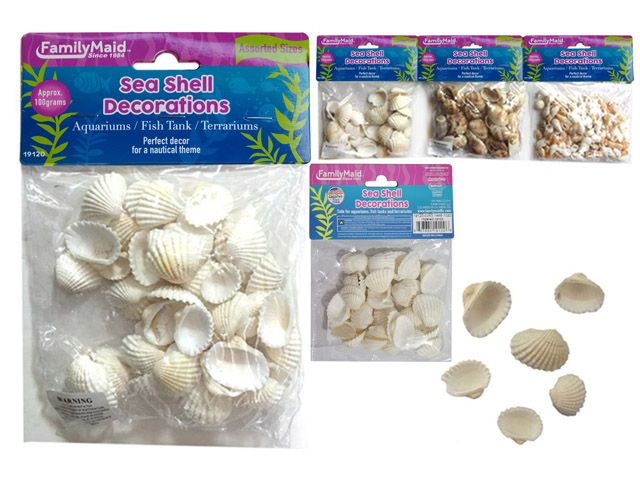 144 Pieces of Assorted Sea Shells