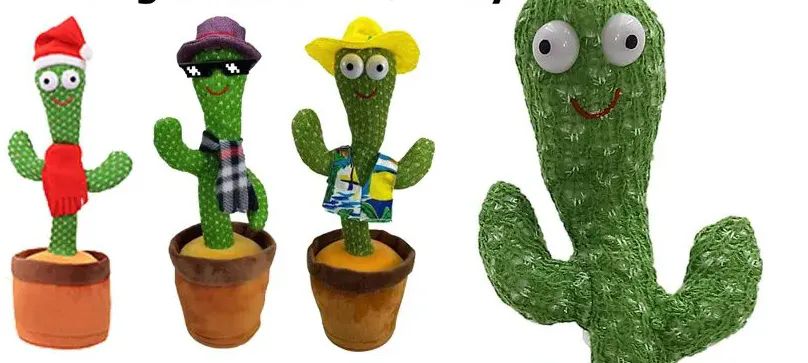 dancing cactus wholesale