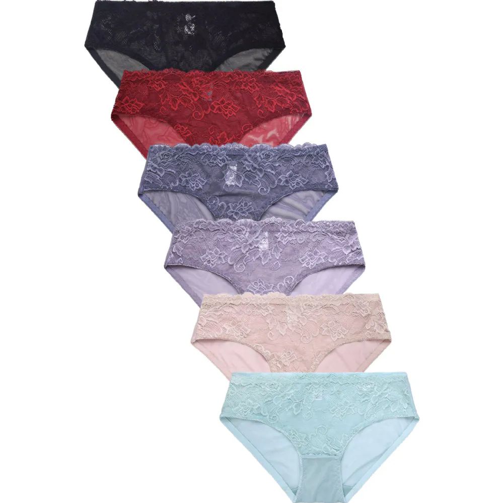 432 Pieces Sofra Ladies Ladies Cotton Brief - Womens Panties