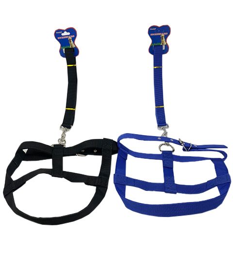 24 Wholesale Harness And Lead 3x120cm