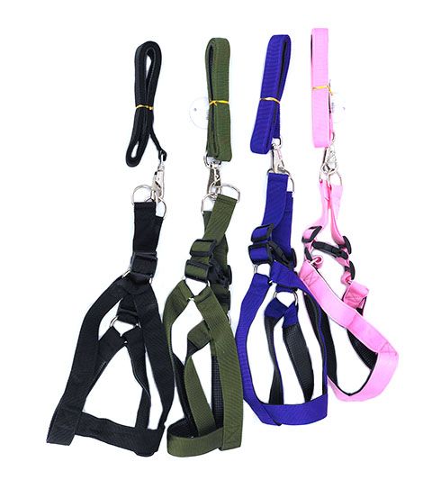 12 Wholesale Xlarge Harness And Leash 81-92 cm