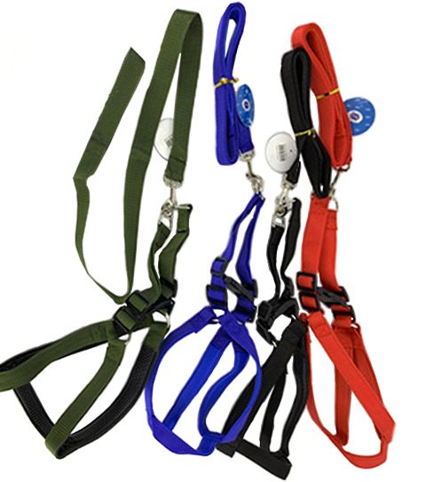 12 Wholesale Xlarge Harness And Leash 3.0x120 Assorted Color