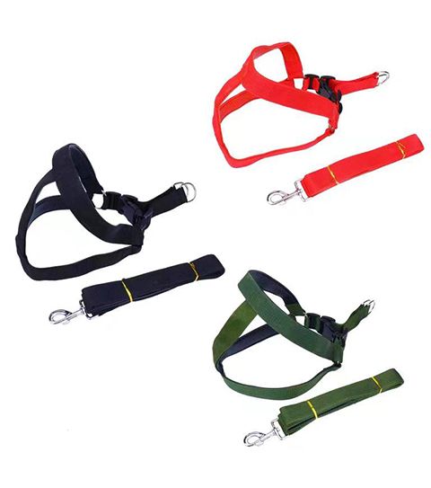 12 Wholesale Xxl Harness And Leash 4.0x120 Assorted Color