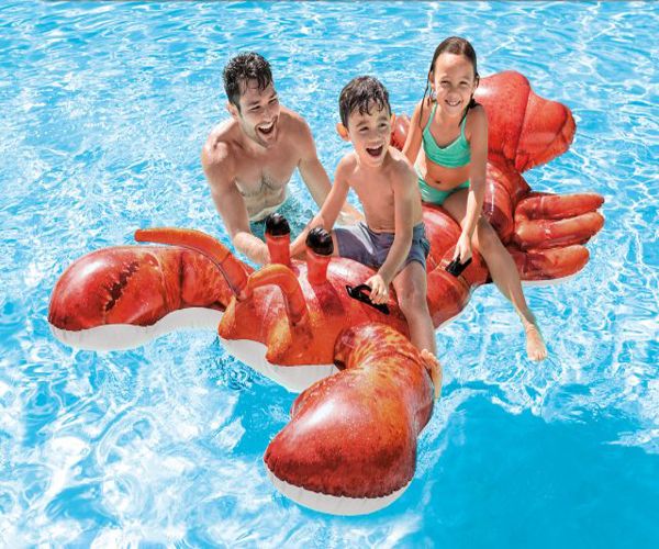 6 Wholesale Lobster Ride on