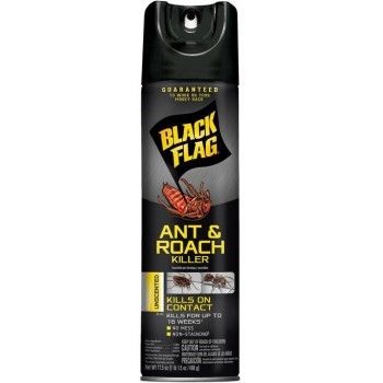 12 Pieces of Black Flag Ant & Roach 17.5 oz