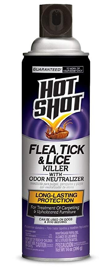 6 Bulk Hot Shot 14 Oz Flea Killer
