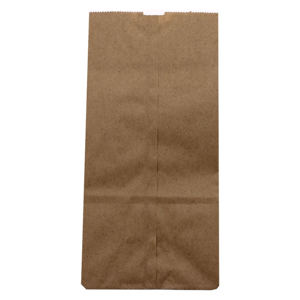 Aspen Paper Lunch Bag 40 Count