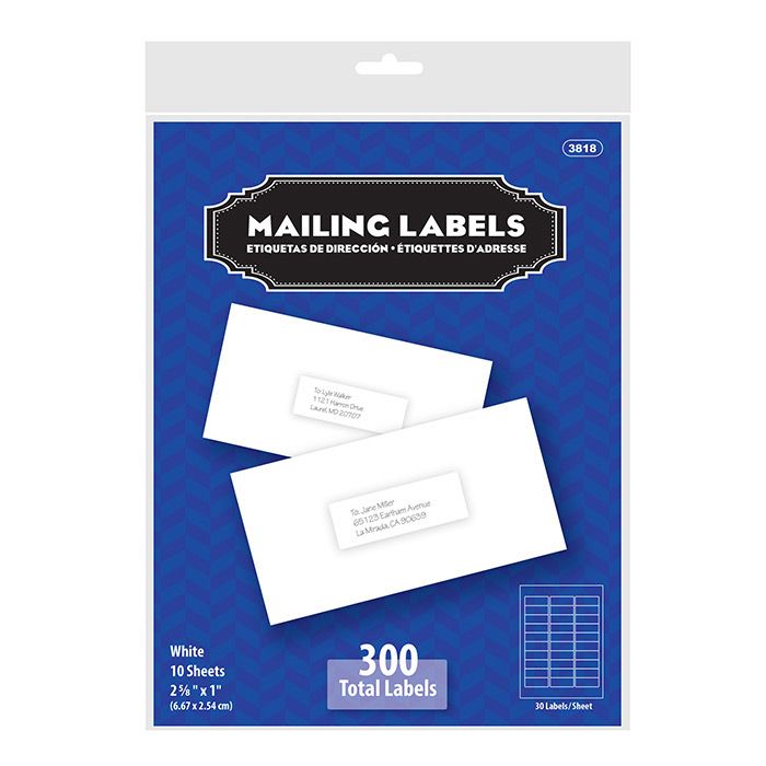 24 pieces of 1" X 2 5/8" White Address Labels (300/pack)