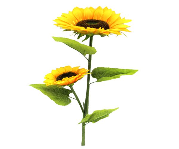 72 Pieces of Artificial Sunflower 2 Heads Deluxe