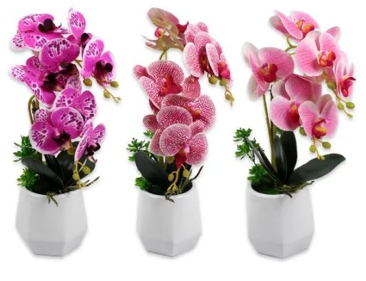 6 Pieces of Simulation Orchid With Pot