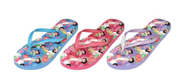 54 Wholesale Women's Fun Trendy Flip Flop Sandal Thong