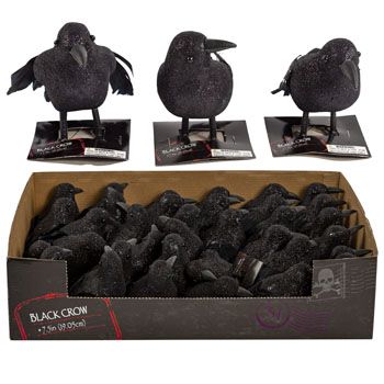 36 pieces of Crow Black Glitter W/feather Tail 3ast 5.5/6.8in 36pc Pdq Hlwn Tcd
