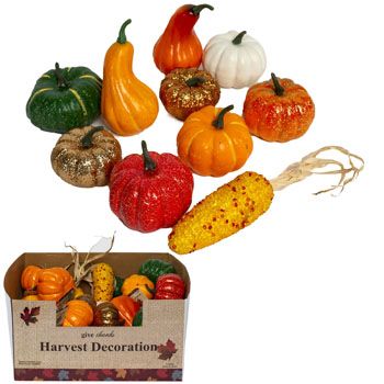 30 Wholesale Harvest Pumpkin/gourd/corn 10ast