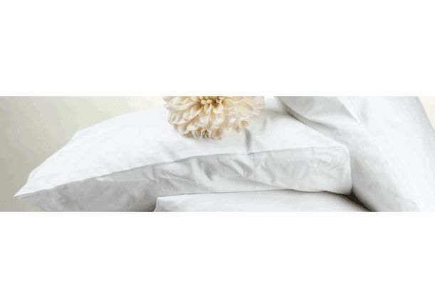 12 Pieces of Feather Pillow In Standard Size