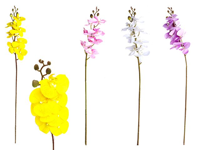 48 Pieces of Premium Orchid Flower Bouquet