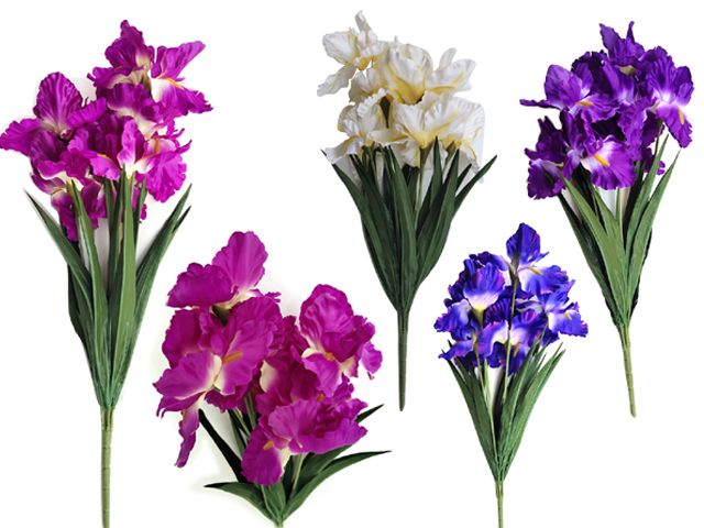 24 Pieces of Iris 7 Flower Bouquet Assorted Colors